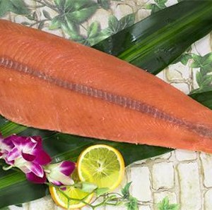 Salmon Series